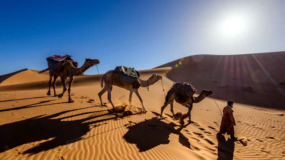 Todo el misterio del Sahara, a dos horas para escapadas de fin de semana