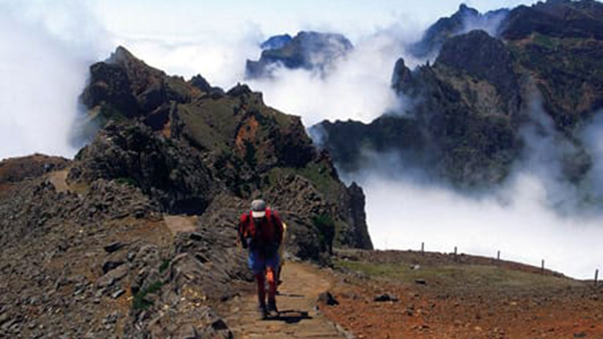 Viajes para cada tipo de aventurero