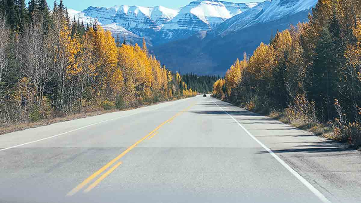 Autopistas europeas, camino a seguir cuando no se puede volar