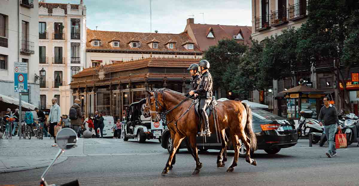 Caballos policía, formación límite