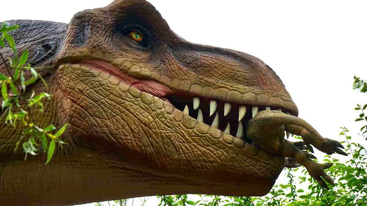 Viaja al pasado con una exposición de dinosaurios de 3 metros de altura