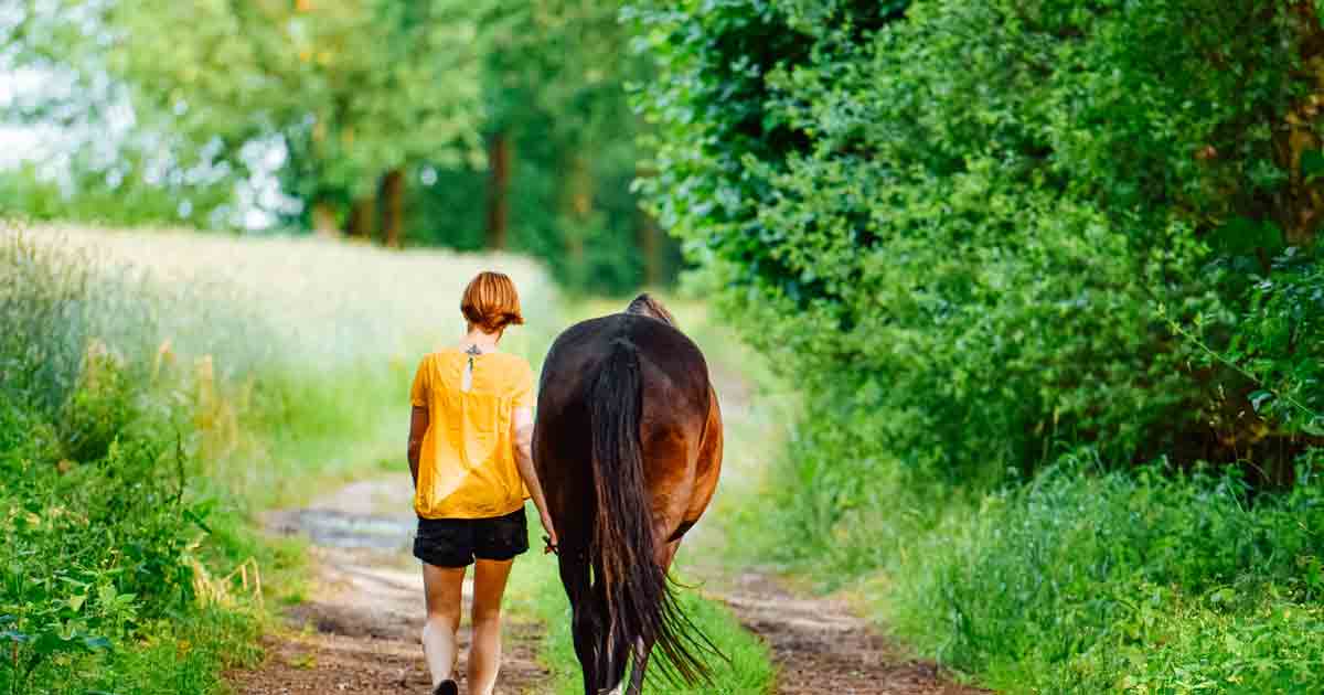 Rutas a caballo y paseos en barco y en globo son los deportes de aventura más demandados