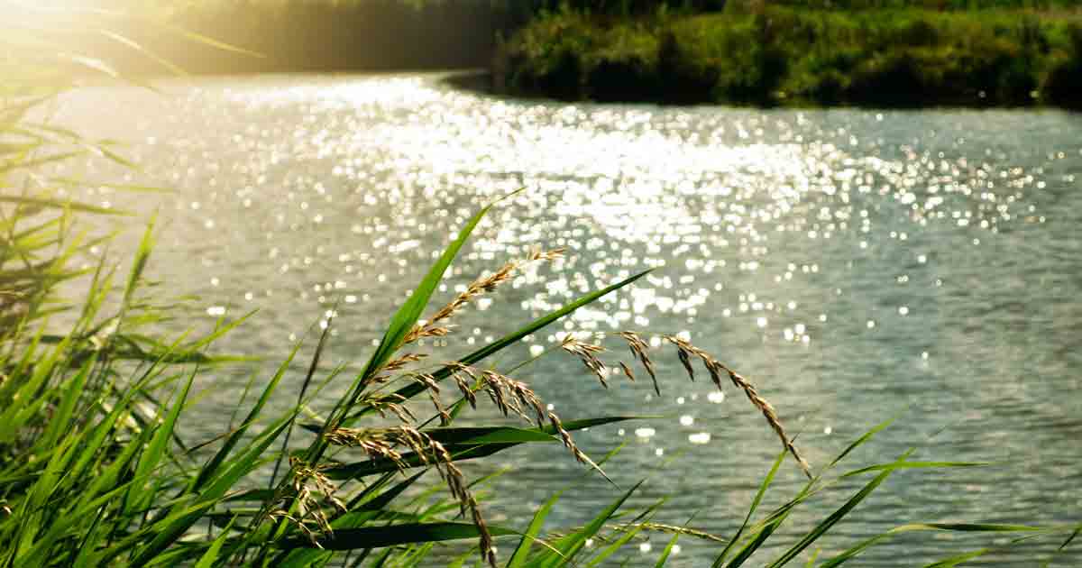 Crecida de ríos y desbordamiento del agua: qué debes saber por seguridad