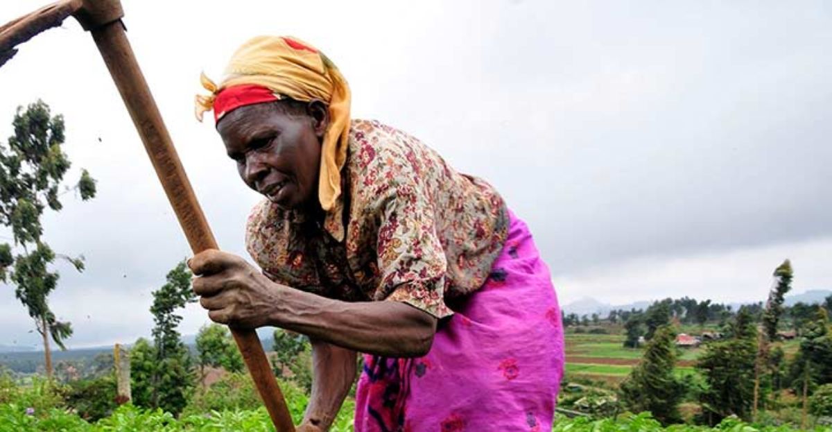 La producción mundial de alimentos dependerá de África y Latinoamérica