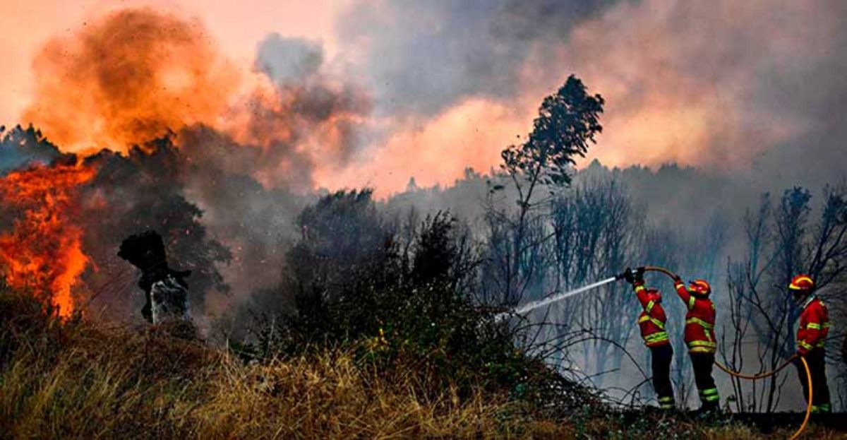 Los incendios volverán este verano ante la falta de prevención y de que el 96 por ciento son provocados