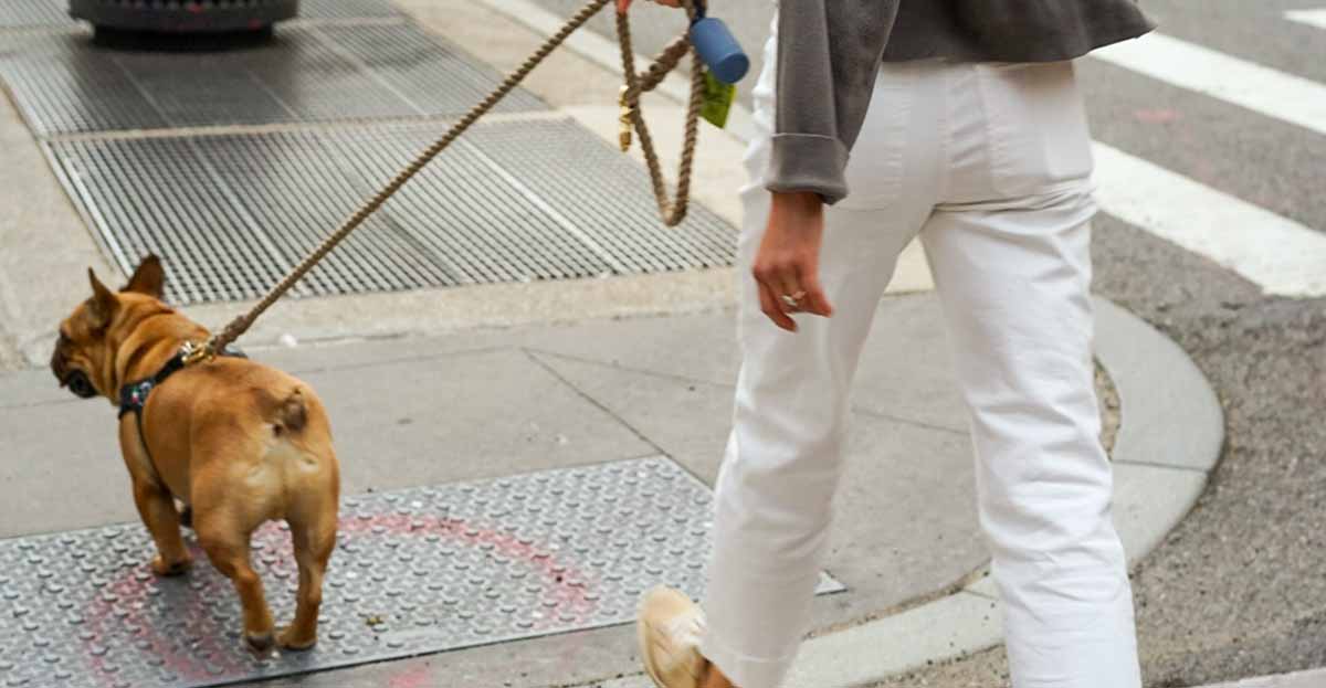 Cómo afrontar la cuarentena junto a nuestras mascotas