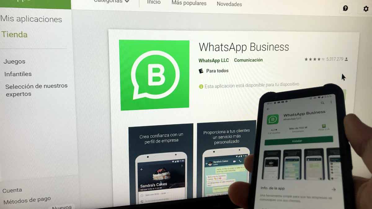 Qué Es Whatsapp Business Y Cómo Funciona 1696