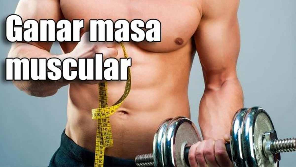 Cómo Ganar Masa Muscular Con Dieta Y Ejercicios 5513