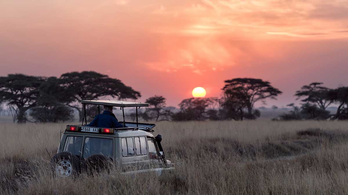 Viaje a Sudáfrica para ver sus parajes naturales.