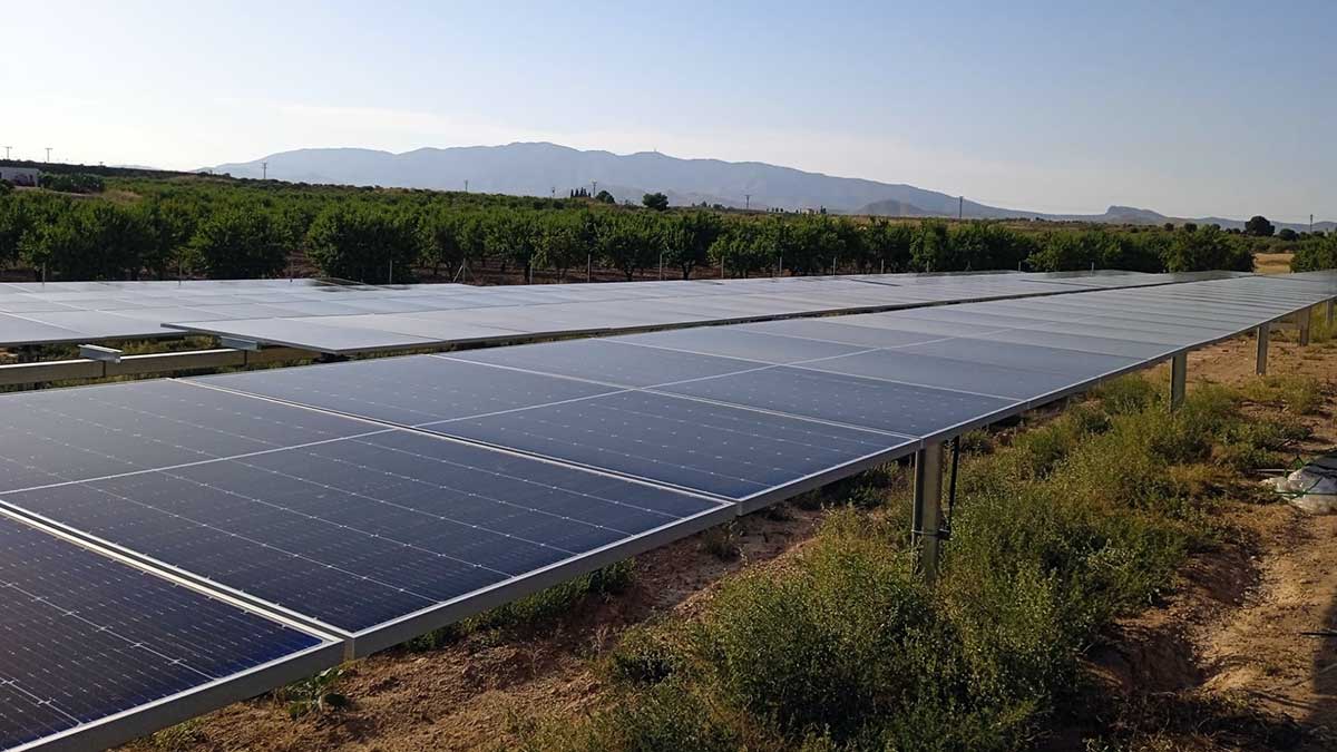 Cómo tener placas solares sin instalarlas en el tejado y cuánto cuesta