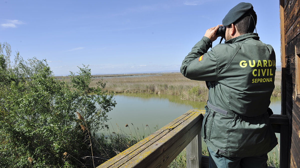 El SEPRONA recomienda estas 7 prácticas si vas al campo para cuidar el medioambiente