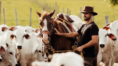 Un ganadero trabajando en el campo con su caballo.