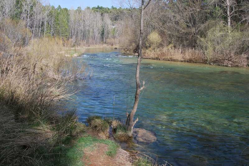 Parque Natural del Alto Tajo.