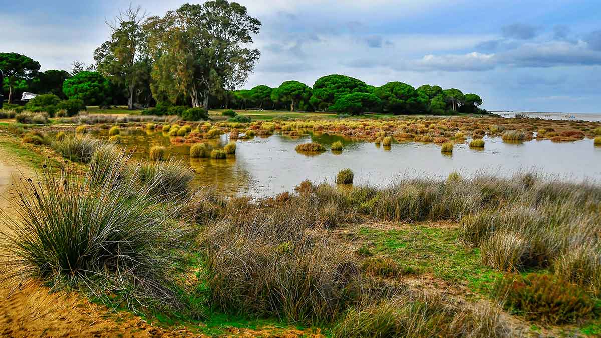 Parque Nacional de Doñana.