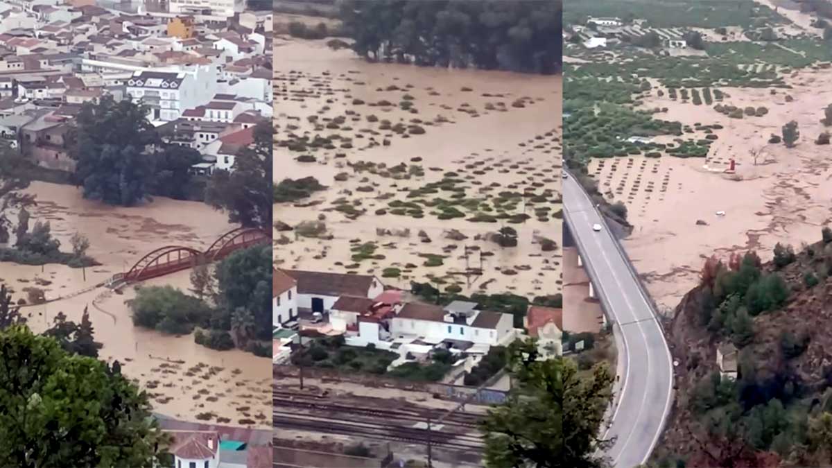 Desbordamiento del río Guadalhorce a su paso por el municipio de Álora, en Málaga.